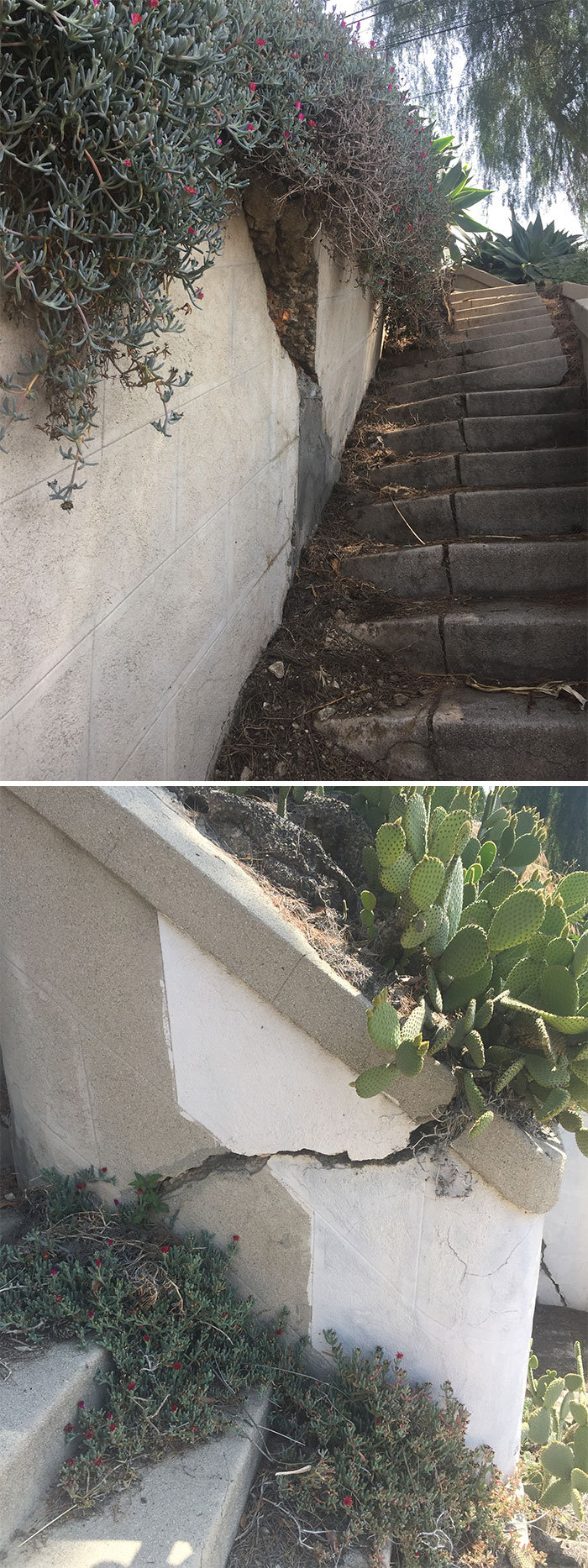 Dangerous-Weird-Things-Structural-Inspections