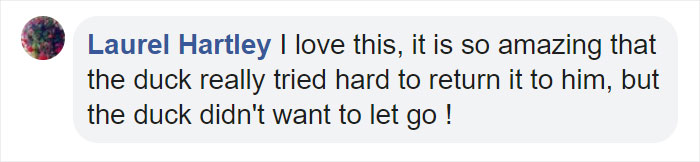 Little Boy's Slipper Falls Down A Hill, Kind Duck Retrieves It