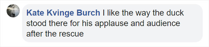 Little Boy's Slipper Falls Down A Hill, Kind Duck Retrieves It