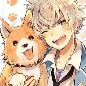 highfox-official avatar