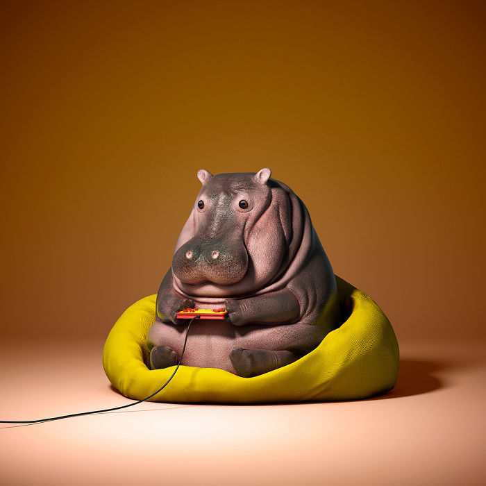 The Lovely Lazy Animals Of A Chinese Artist