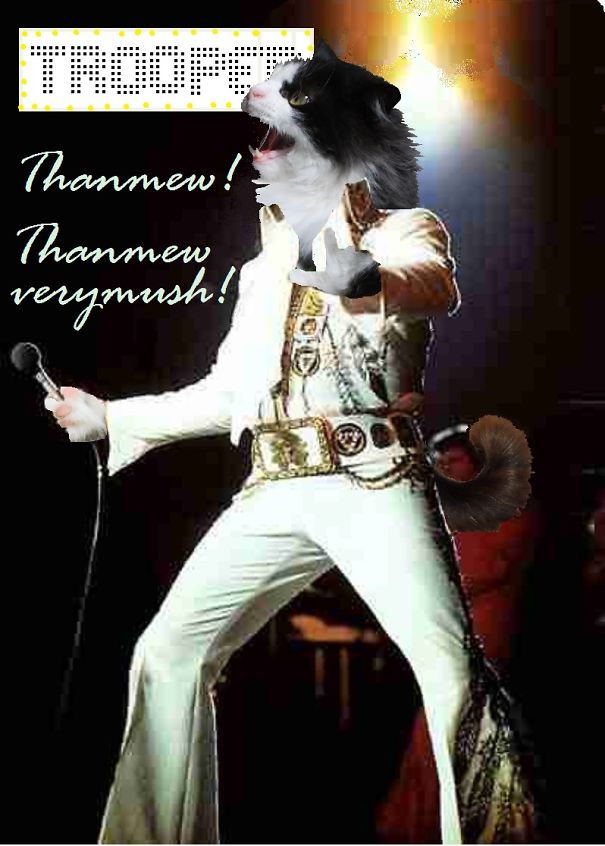 elvisthankmew-5d4c54302383e.jpg
