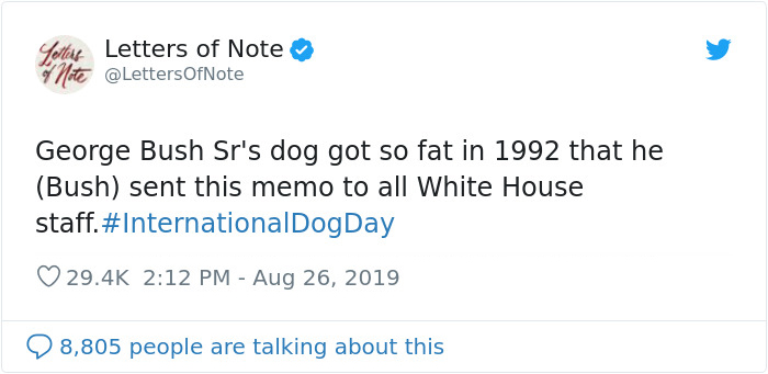 George Bush Sr. Once Wrote This Funny Memo To The White House Staff Regarding His Fat Dog Ranger George Bush Sr. Once Wrote This Funny Memo To The White House Staff Regarding His Fat Dog Ranger