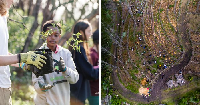 Greenpop Wants To Help Save The Planet With Their Goal Of Planting 500,000 Trees By 2025 In South Africa