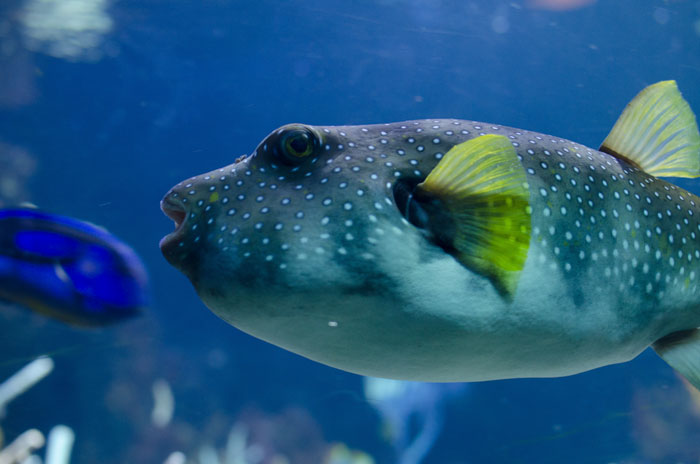 Father Asks Strangers To Suggest Interesting Facts He Could Tell His Daughter, Gets 40 Responses