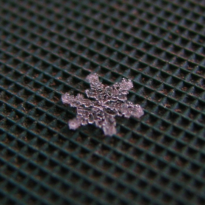 Father Asks Strangers To Suggest Interesting Facts He Could Tell His Daughter, Gets 40 Responses