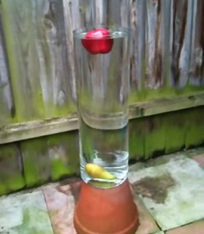 Father Asks Strangers To Suggest Interesting Facts He Could Tell His Daughter, Gets 40 Responses