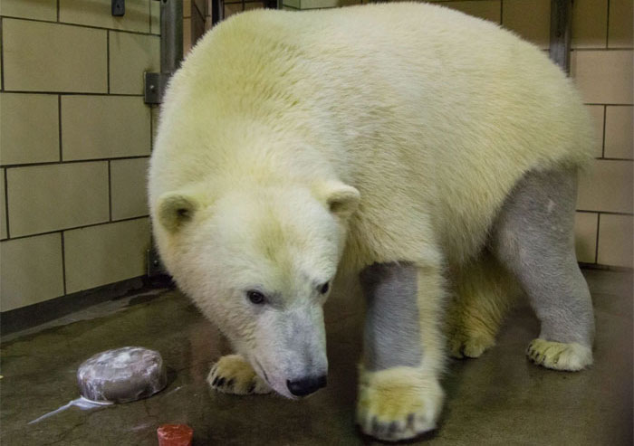 Este padre pidió a la gente datos interesantes que poder contarle a su hija antes de dormir, y recibió estas 40 respuestas