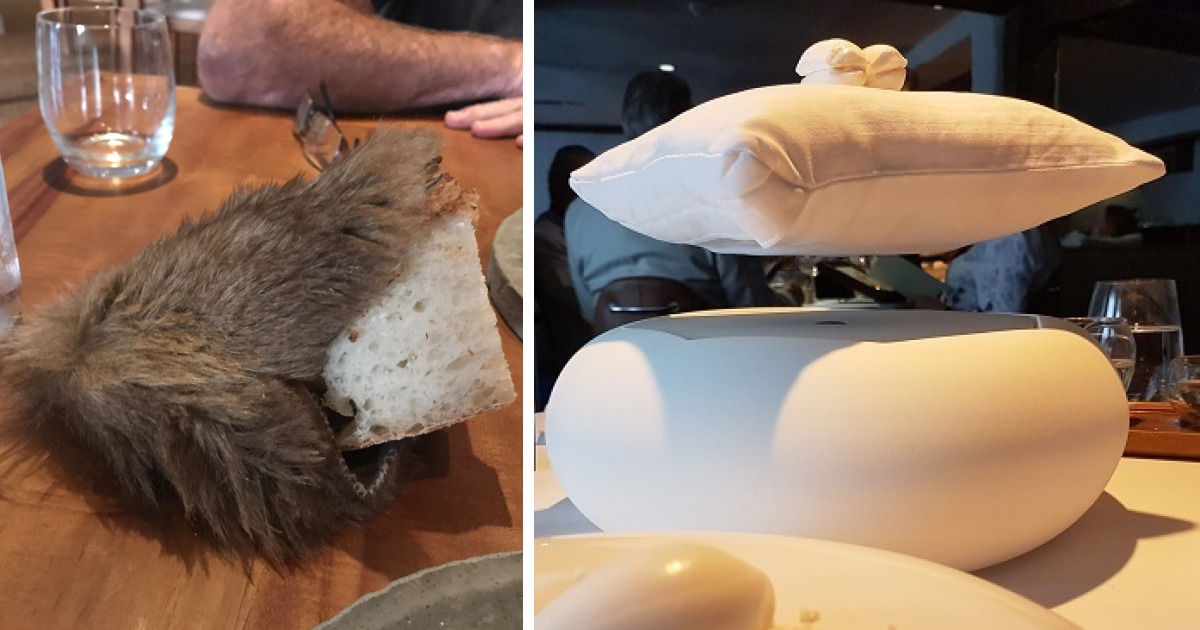 30 Personas que preferirían tener platos y cubiertos en vez de estos desastres (Nuevas imágenes)