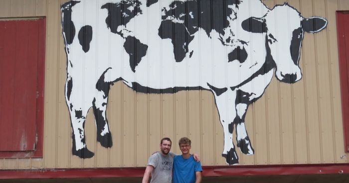 World Cows Bringing World Peace