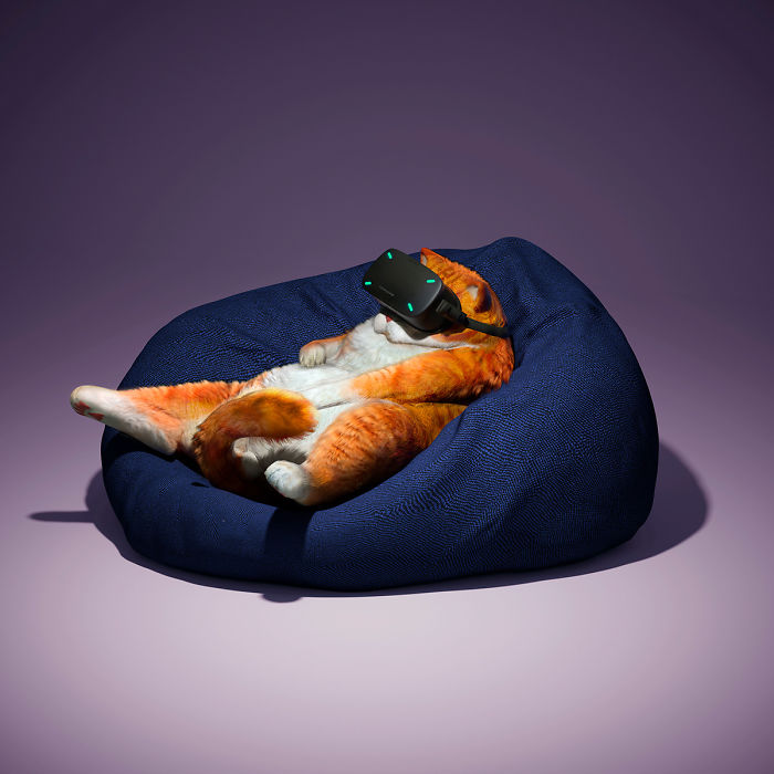 The Lovely Lazy Animals Of A Chinese Artist