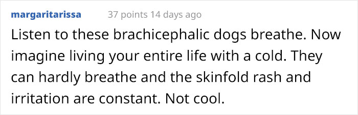 Guy Wants To Get A Purebred Pug, His Friend Tries To Prove Why It's Animal Cruelty With Skull Comparison Guy Wants To Get A Purebred Pug, His Friend Tries To Prove Why It's Animal Cruelty With Skull Comparison