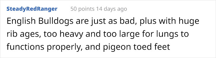 Guy Wants To Get A Purebred Pug, His Friend Tries To Prove Why It's Animal Cruelty With Skull Comparison Guy Wants To Get A Purebred Pug, His Friend Tries To Prove Why It's Animal Cruelty With Skull Comparison