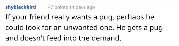 Guy Wants To Get A Purebred Pug, His Friend Tries To Prove Why It's Animal Cruelty With Skull Comparison Guy Wants To Get A Purebred Pug, His Friend Tries To Prove Why It's Animal Cruelty With Skull Comparison