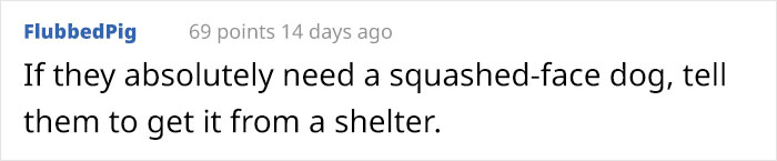 Guy Wants To Get A Purebred Pug, His Friend Tries To Prove Why It's Animal Cruelty With Skull Comparison Guy Wants To Get A Purebred Pug, His Friend Tries To Prove Why It's Animal Cruelty With Skull Comparison