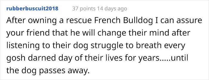 Guy Wants To Get A Purebred Pug, His Friend Tries To Prove Why It's Animal Cruelty With Skull Comparison Guy Wants To Get A Purebred Pug, His Friend Tries To Prove Why It's Animal Cruelty With Skull Comparison