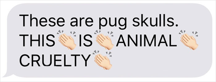 Guy Wants To Get A Purebred Pug, His Friend Tries To Prove Why It's Animal Cruelty With Skull Comparison Guy Wants To Get A Purebred Pug, His Friend Tries To Prove Why It's Animal Cruelty With Skull Comparison
