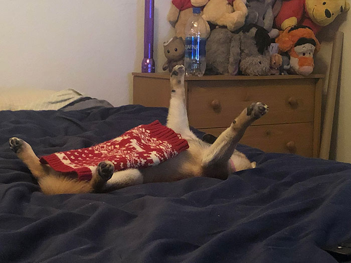 This Is How She Sleeps