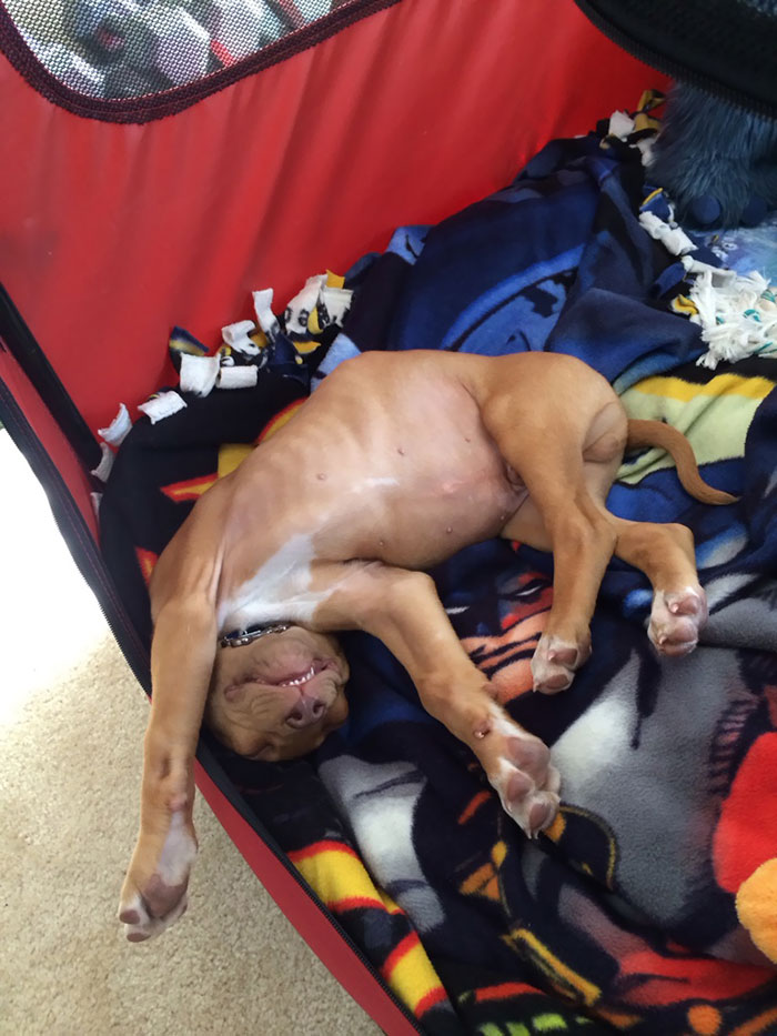 Naps Are The Greatest