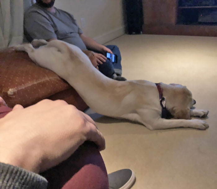 Sometimes You Just Gotta Go To Sleep