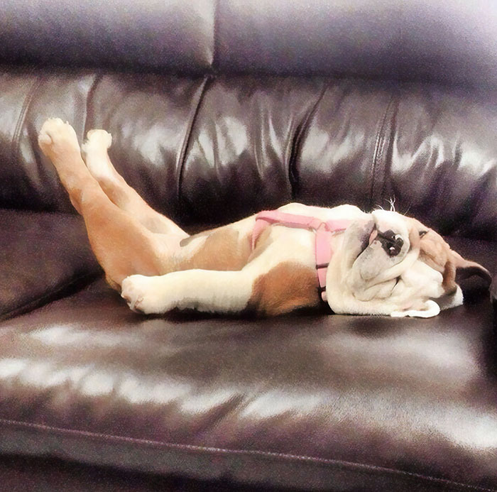 Well, That's A Weird Way To Sleep