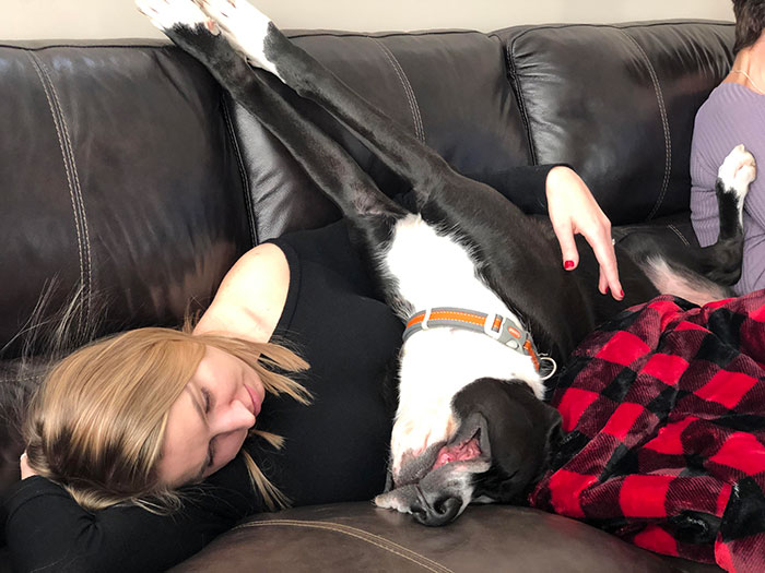 There's Only 1 Way To Nap