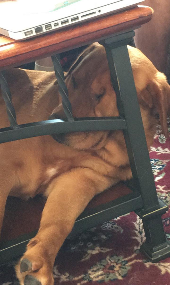 She Sleeps Whenever, Wherever