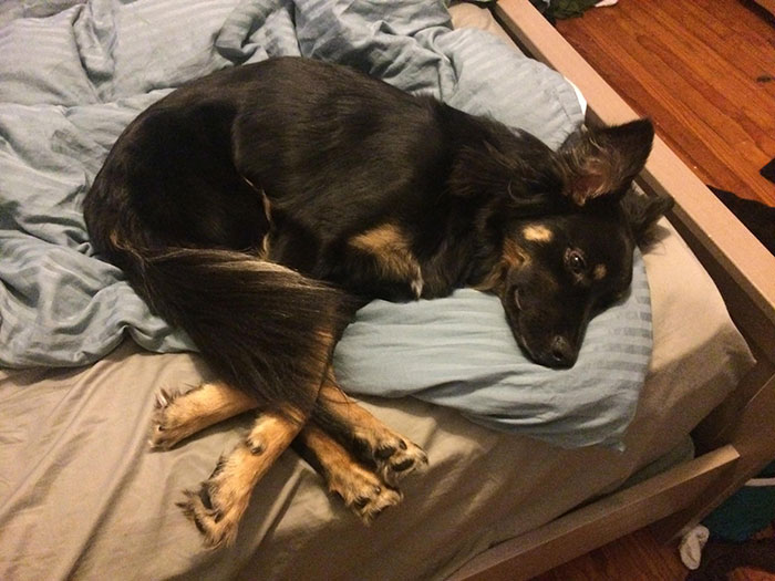 He Sleeps Like This All The Time