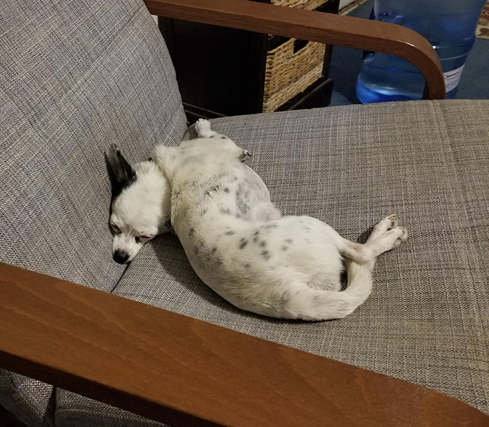 This Is How She Sleeps