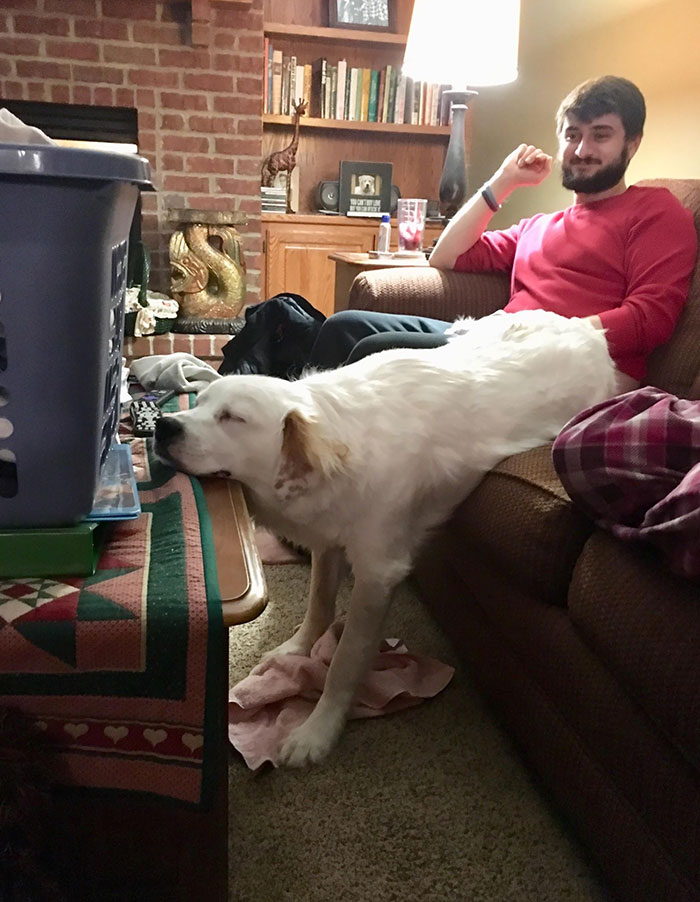 He Decided To Sleep Like This