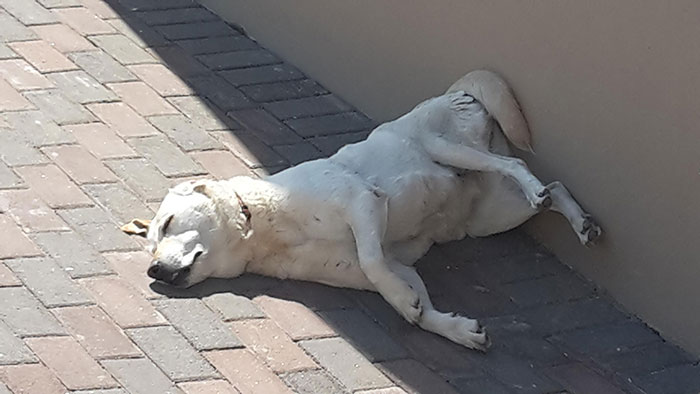 She Likes To Sleep With Her Bottom Off The Ground