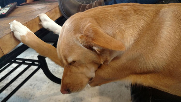 Kick Your Feet Up And Take A Nap