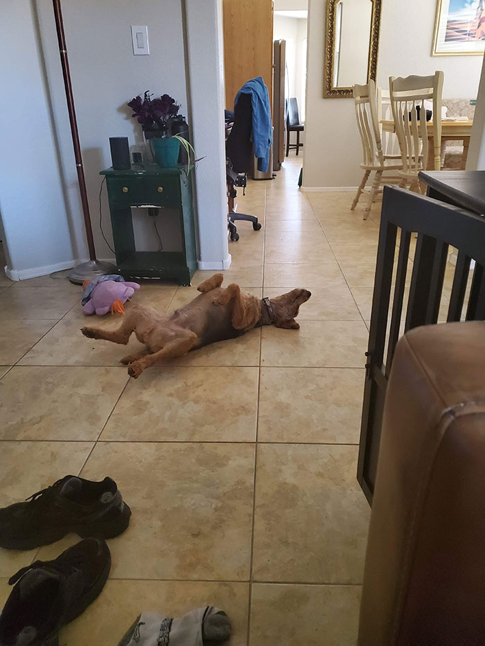 My Brother Was Concerned About How Theodore Sleeps