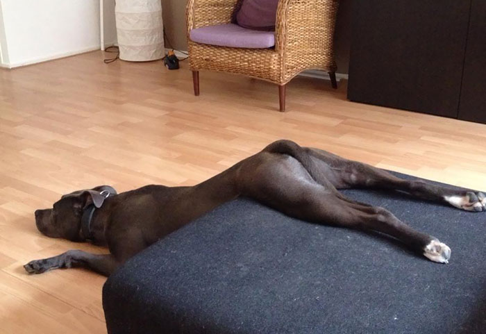 Not The First Time I've Seen Him Sleep Like This