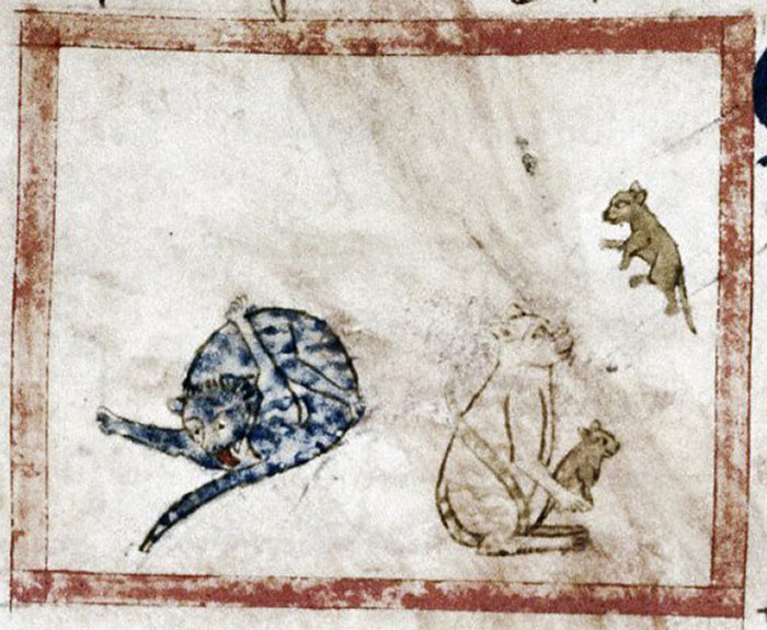 Funny-Medieval-Cats-Licking-Paintings
