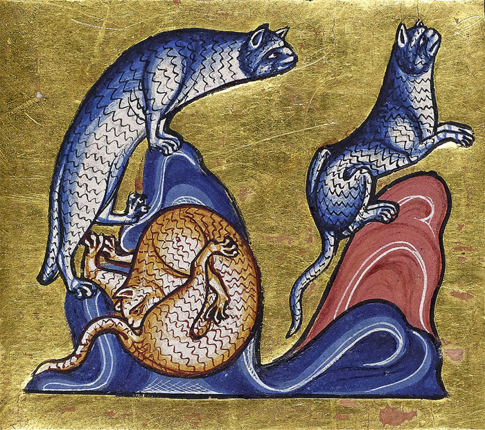 Funny-Medieval-Cats-Licking-Paintings