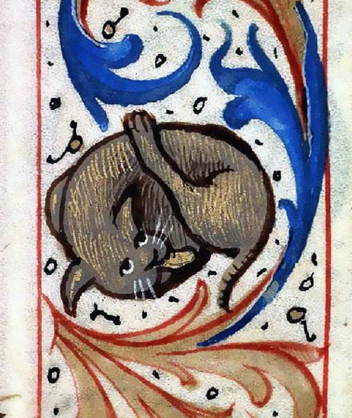 Funny-Medieval-Cats-Licking-Paintings