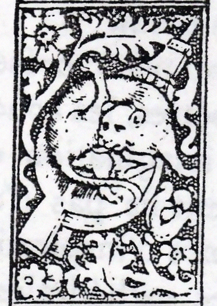 Funny-Medieval-Cats-Licking-Paintings