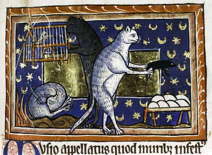 Funny-Medieval-Cats-Licking-Paintings