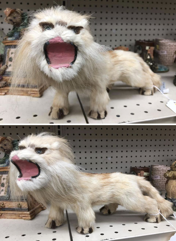 This Is My First Weird Find. He Stayed Right On The Shelf