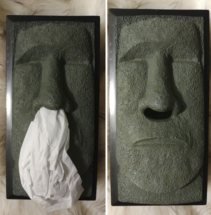 I Saw This Tissue Box And Couldn't Pass It Up! Just Makes Me Giggle