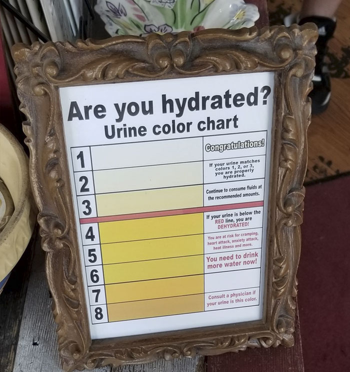 Found In Minnesota At The Center For Lost Objects In St.paul. Please Visit This Unique Secondhand Store!