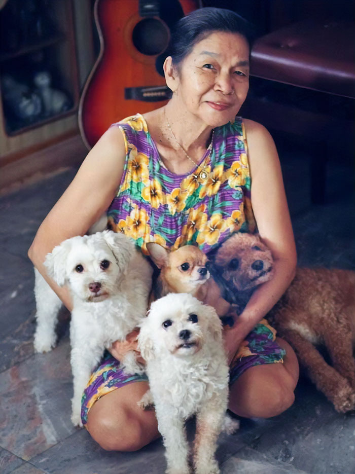 This Sleepiest Chihuahua Ever Can’t Handle Grandma’s Singing