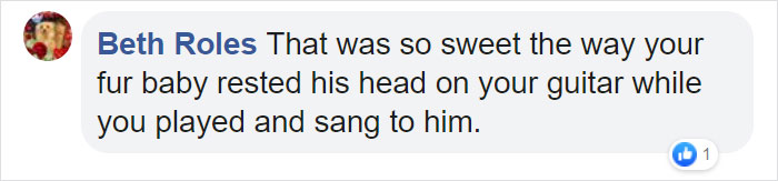 This Sleepiest Chihuahua Ever Can’t Handle Grandma’s Singing