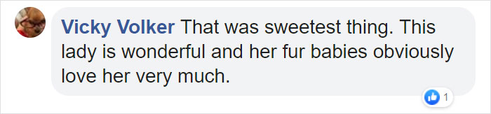 This Sleepiest Chihuahua Ever Can’t Handle Grandma’s Singing