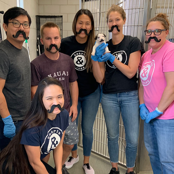 Meet Salvador Dolly, The Cutest Puppy With A Handlebar Mustache Meet Salvador Dolly, The Cutest Puppy With A Handlebar Mustache