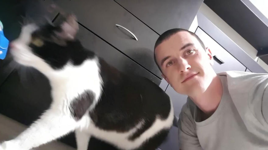 There's A Cat Selfie Device That Will Make Your Photos With Your Cat Simply Purrfect There's A Cat Selfie Device That Will Make Your Photos With Your Cat Simply Purrfect