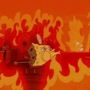 dragonflight461 avatar