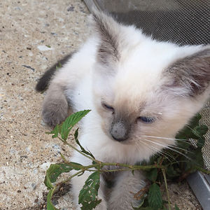 jamie_christenbury avatar