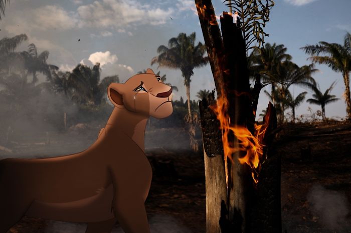 The Tears Of Losing A Home...our Home. 💔